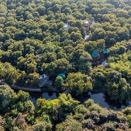 Brook Ville Sasan Gir Exterior photo