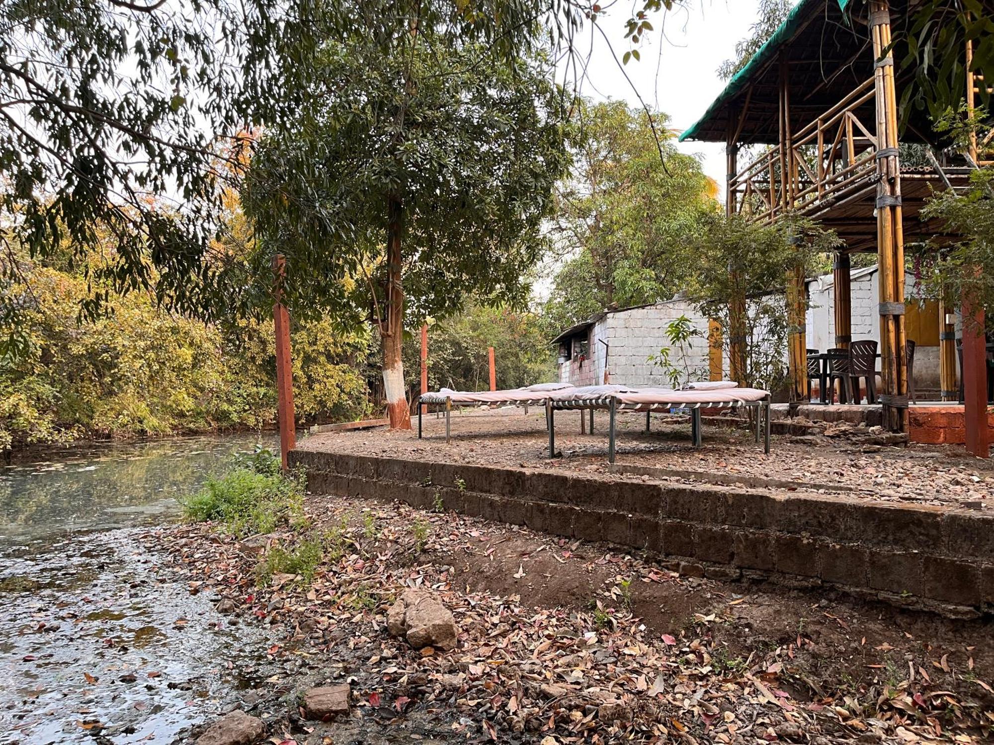 Brook Ville Sasan Gir Exterior photo