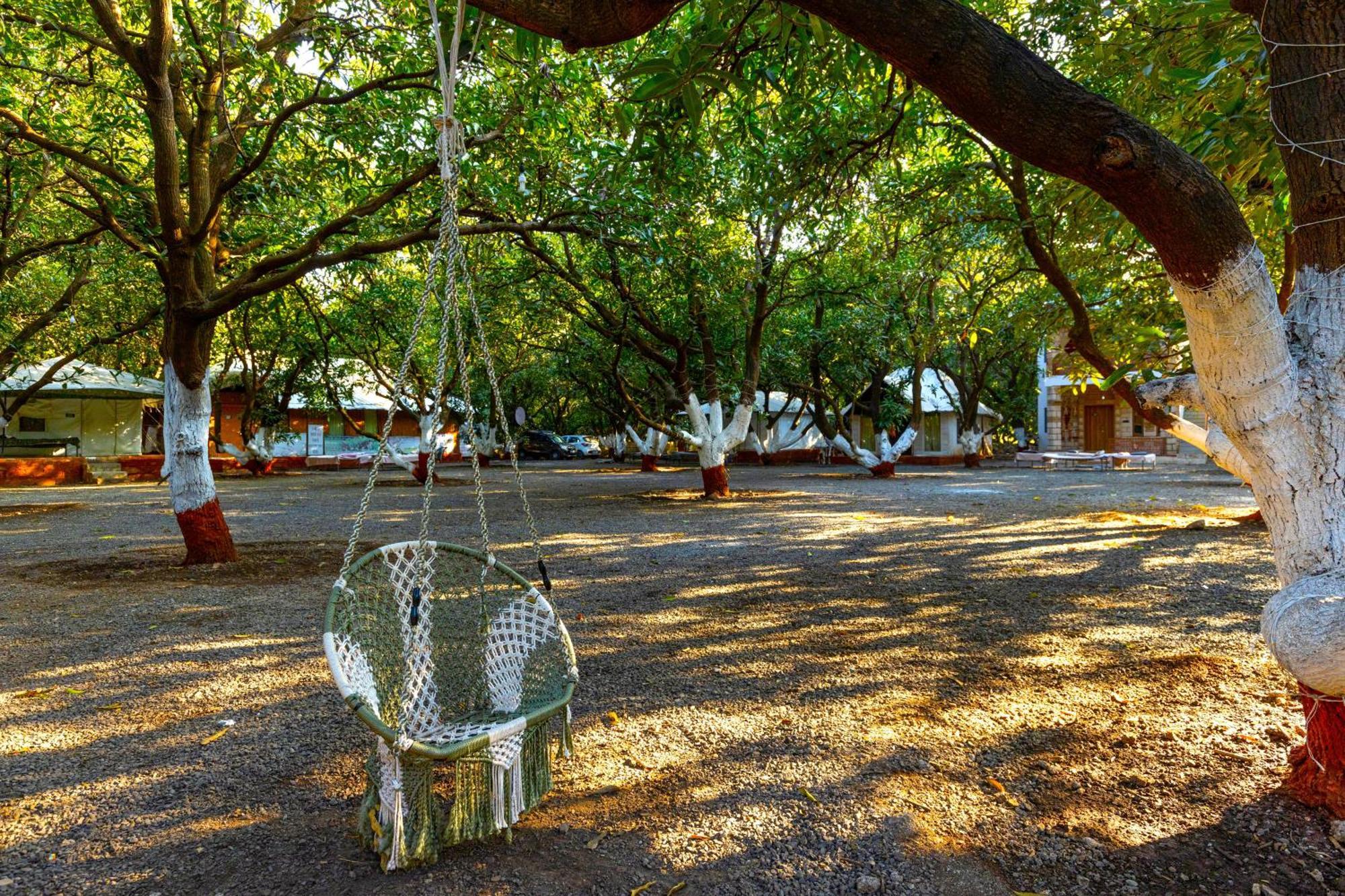 Brook Ville Sasan Gir Exterior photo