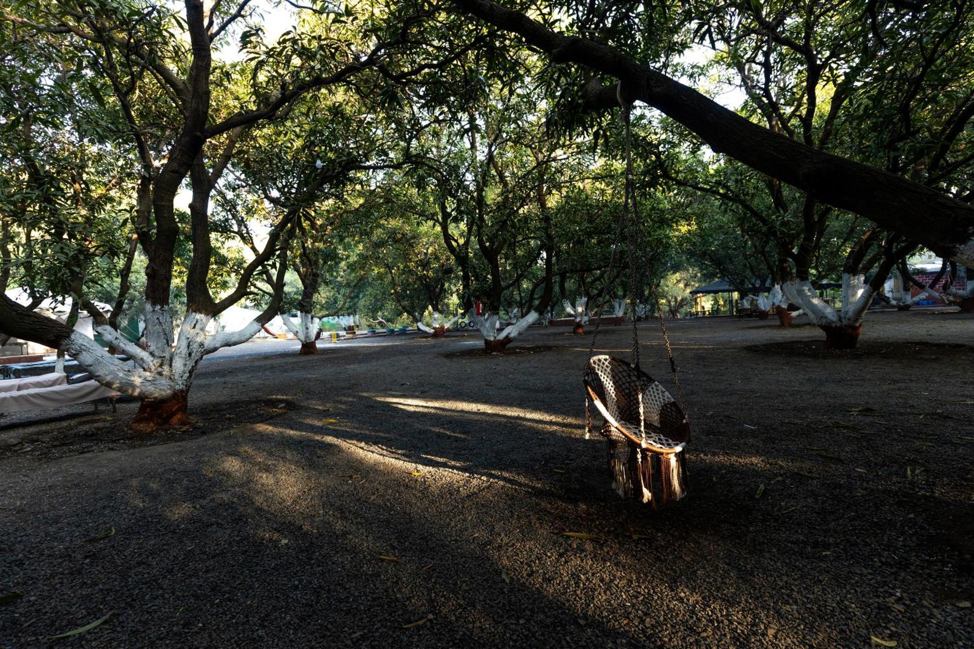 Brook Ville Sasan Gir Exterior photo